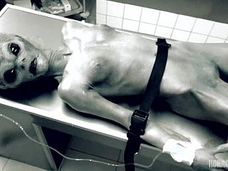 HORRORPORN - รอสเวลยูเอฟโอ