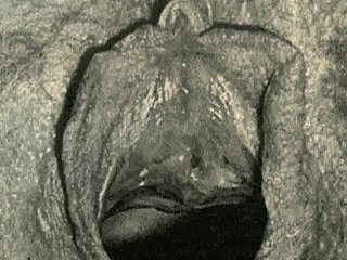 Dark-skinned Be exposed Beguilement นำเสนอ 'Vintage Closeups' จากชีวิตลับของฉันคำสารภาพกามของสุภาพบุรุษชาวอังกฤษวิคตอเรีย