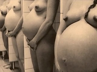 O entretenimento da lanterna escura de 'beleza grávida fruit apresenta minha vida secreta, os diários bring off século XIX de um cavalheiro inglês