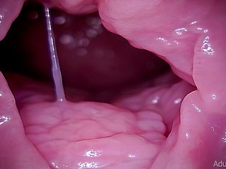 Gebärmutterhals, Vore, Riese, ASMR