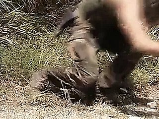 Sex Strive against Crimes (1995)