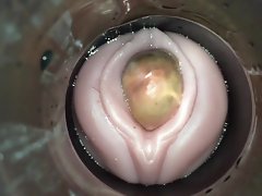 boşalmak kam adam tarafından yapışkan yumurtlama