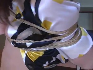 ภรรยาของญี่ปุ่น Orgasms