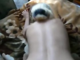 psiak 2