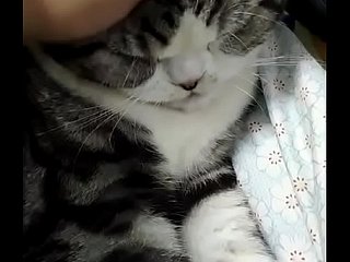 Красивые слова