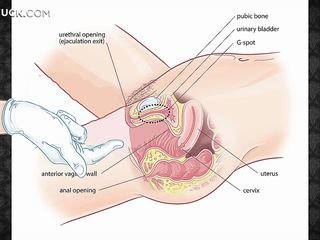 Downcast Dầu Rub down