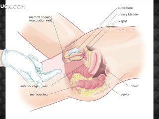 xoa bóp thân mật Sensual