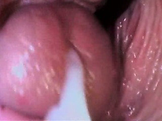 Cumshot / Creampie Kompilasi