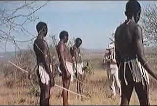 enormes pênis africanos! safari real!