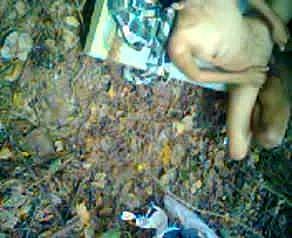 indonesia-アナクのMA jilbabヒジャーブngentotディhutan