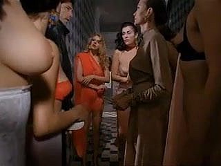 辣椒粉（1991）由黄铜拓