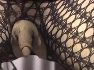 enorme clitóris ereto