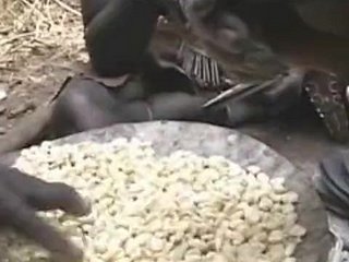 Saleable Remaja Asia Di Afrika!
