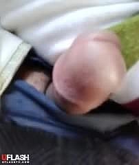 Hijabi Bus speck